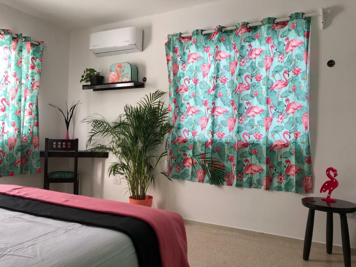 Casa Tropical
