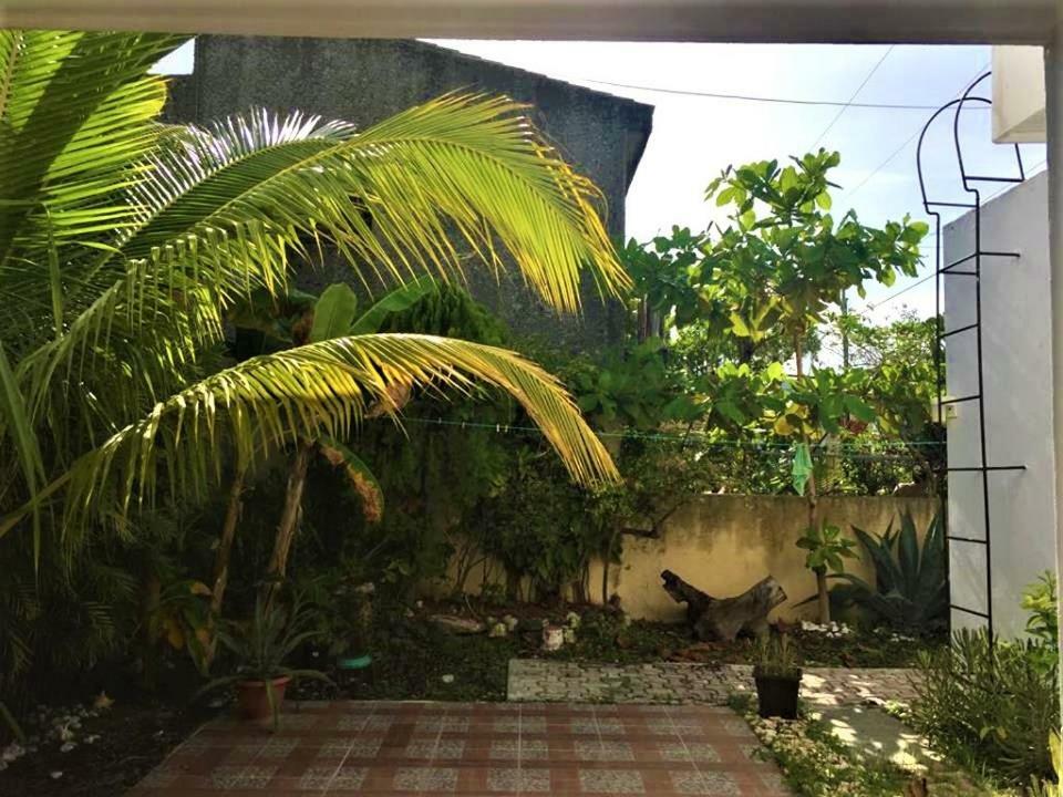 Margaritas Cancún