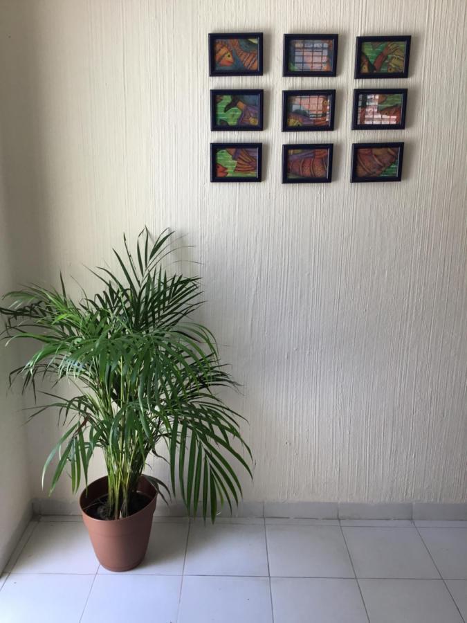 Casa Bugambilias Guest house