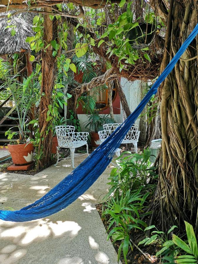 Eco-hotel El Rey Del Caribe Hotel 3*