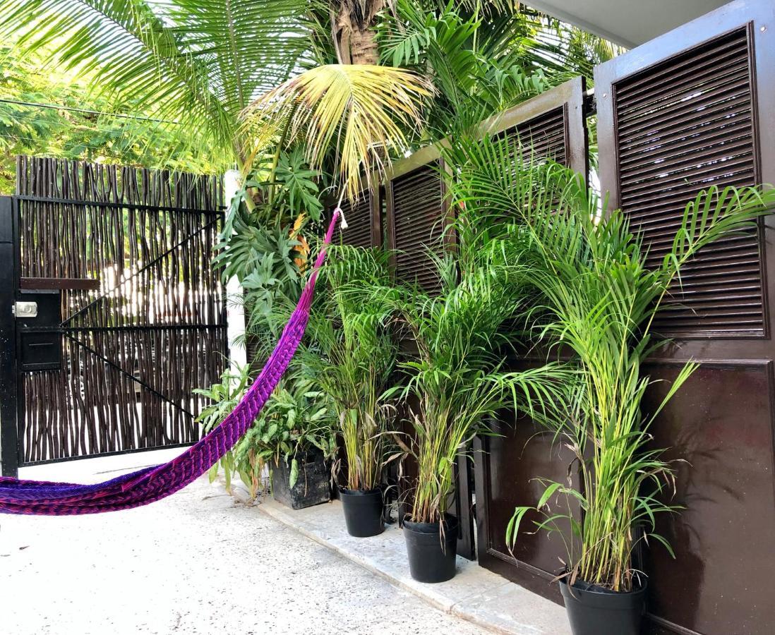 Casa Tropical