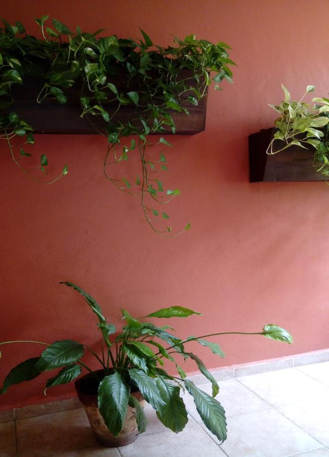 Apartamento Exceptional, Wide And Charming Apartment, Excellent Location *
