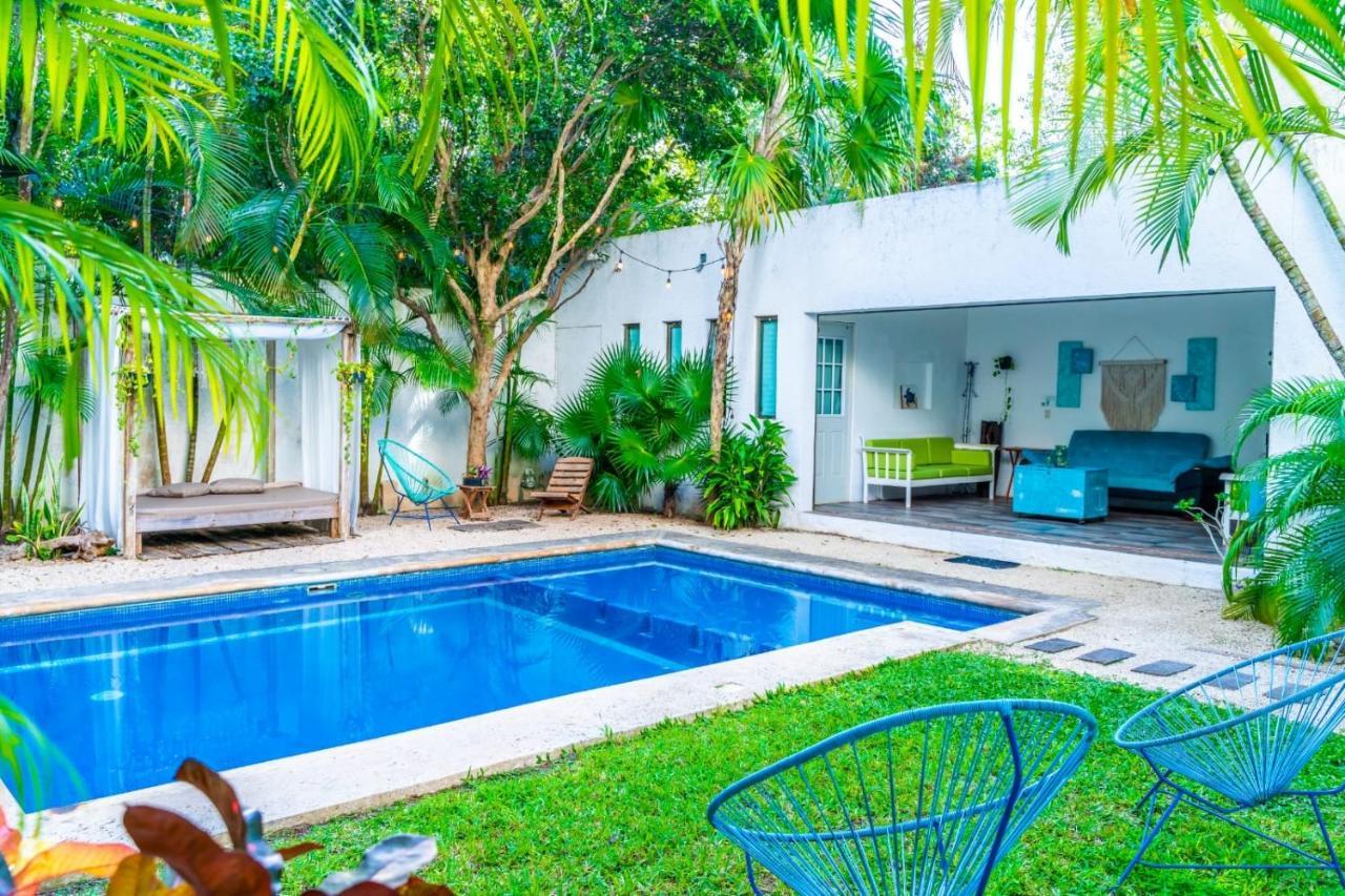 Casa Borush By Ecoplaneta Guest house *