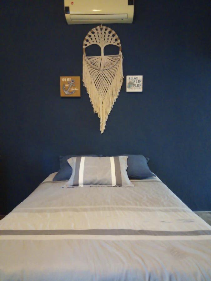Guest house Casa Borush By Ecoplaneta *