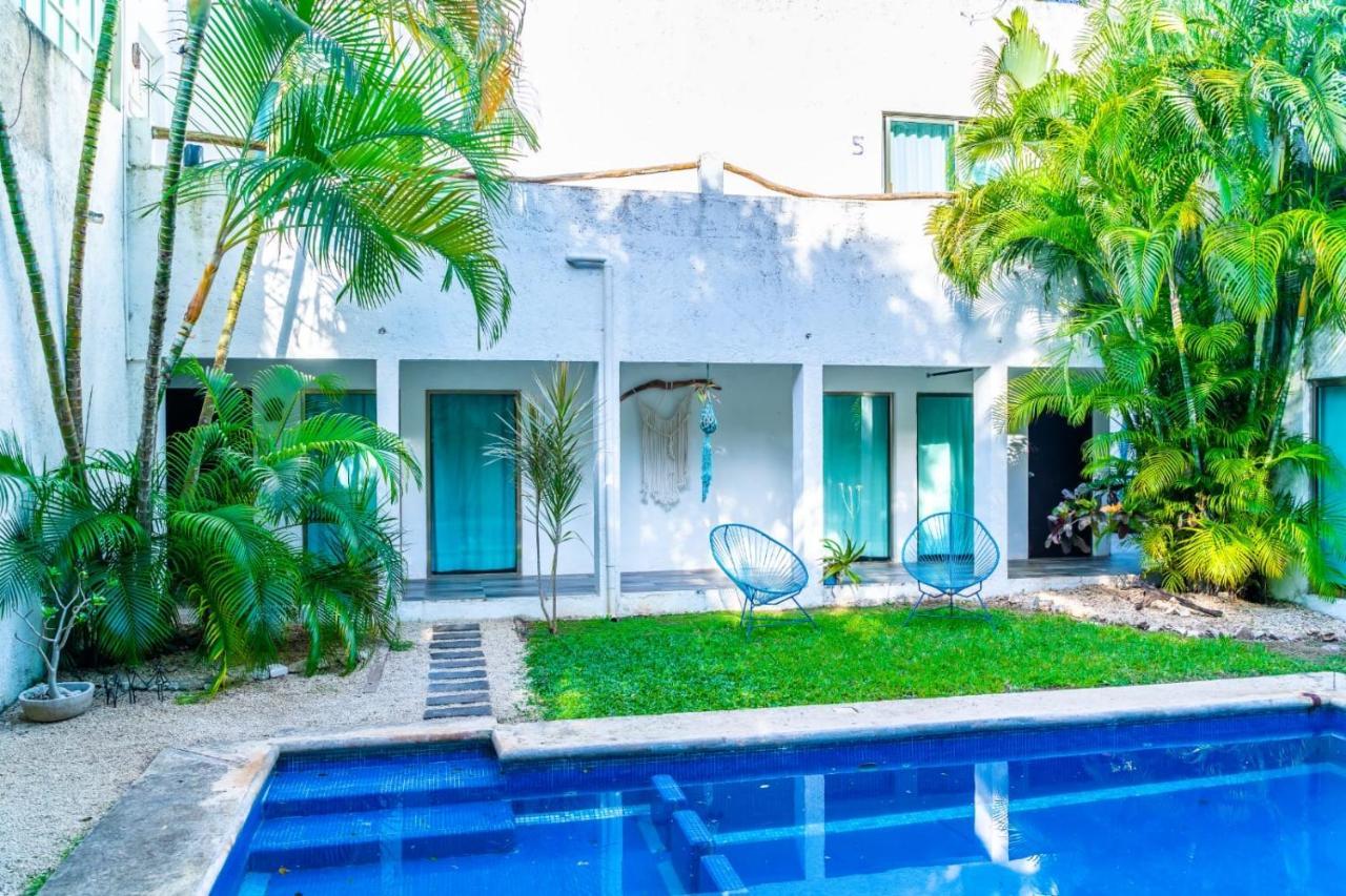 Guest house Casa Borush By Ecoplaneta *