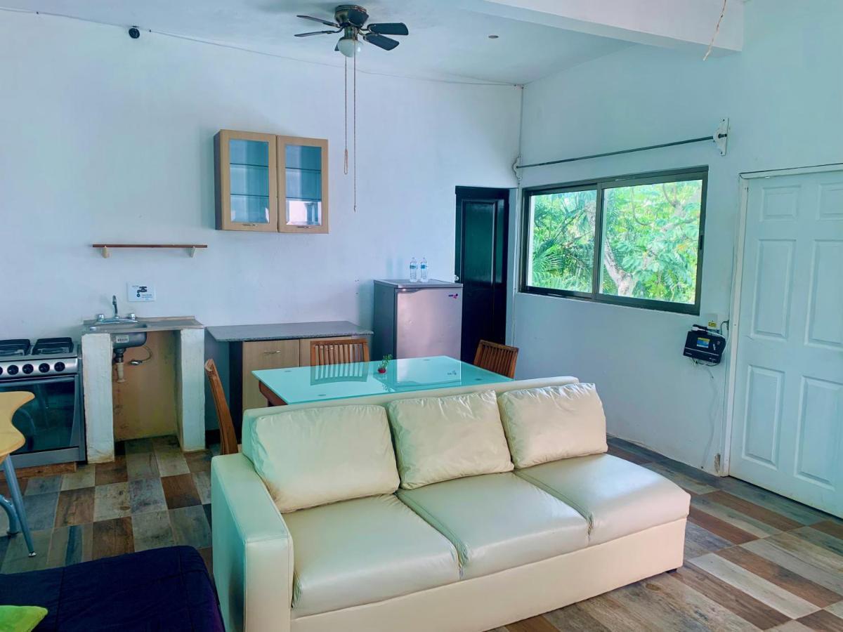 Casa Borush By Ecoplaneta Guest house *