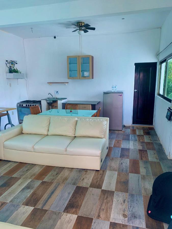 Guest house Casa Borush By Ecoplaneta *