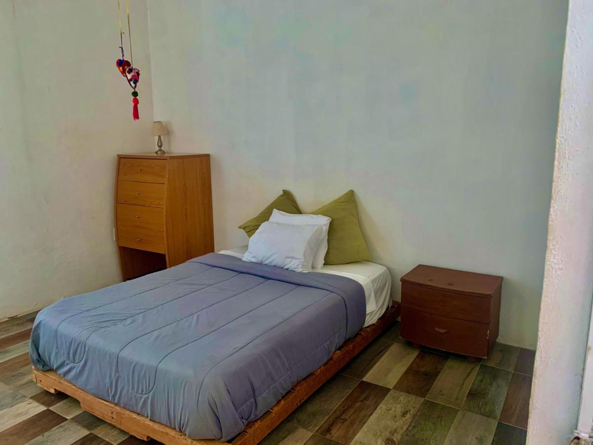 Casa Borush By Ecoplaneta Guest house