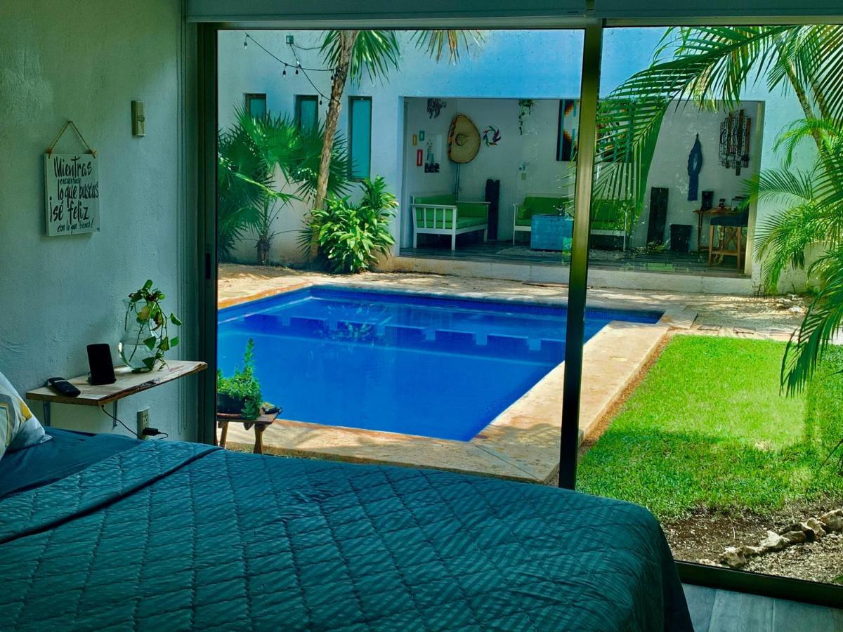 Guest house Casa Borush By Ecoplaneta