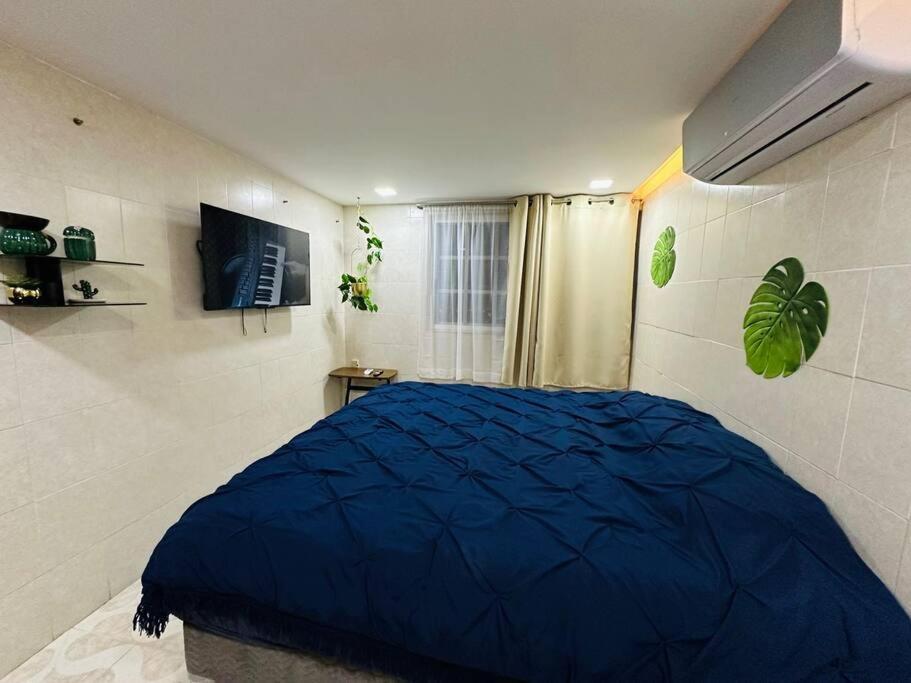 Apartment Oasis Sensory - Market 28 *