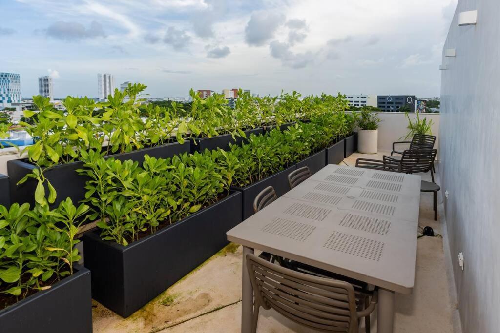 Estudio Moderno En La Av Nader Cancún