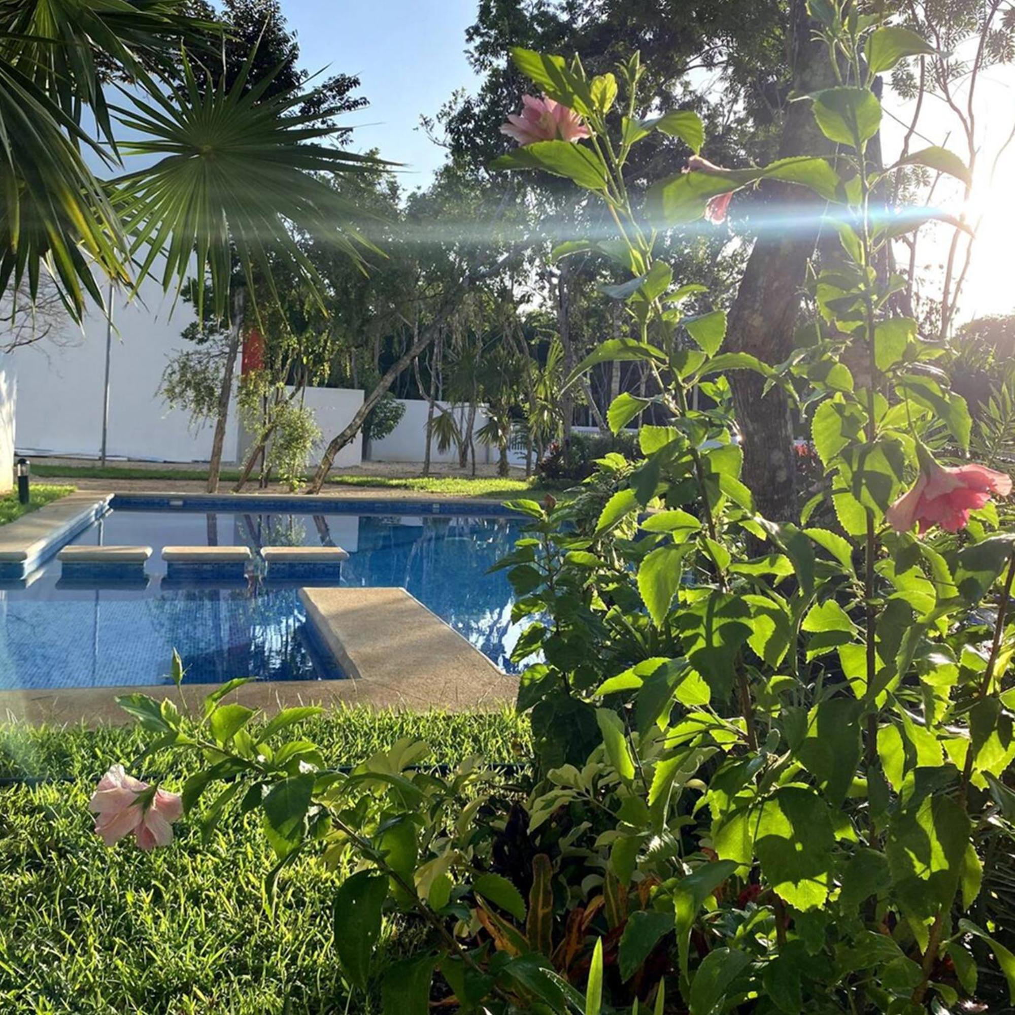 Apartment Bonito Departamento En Privada Con Alberca
