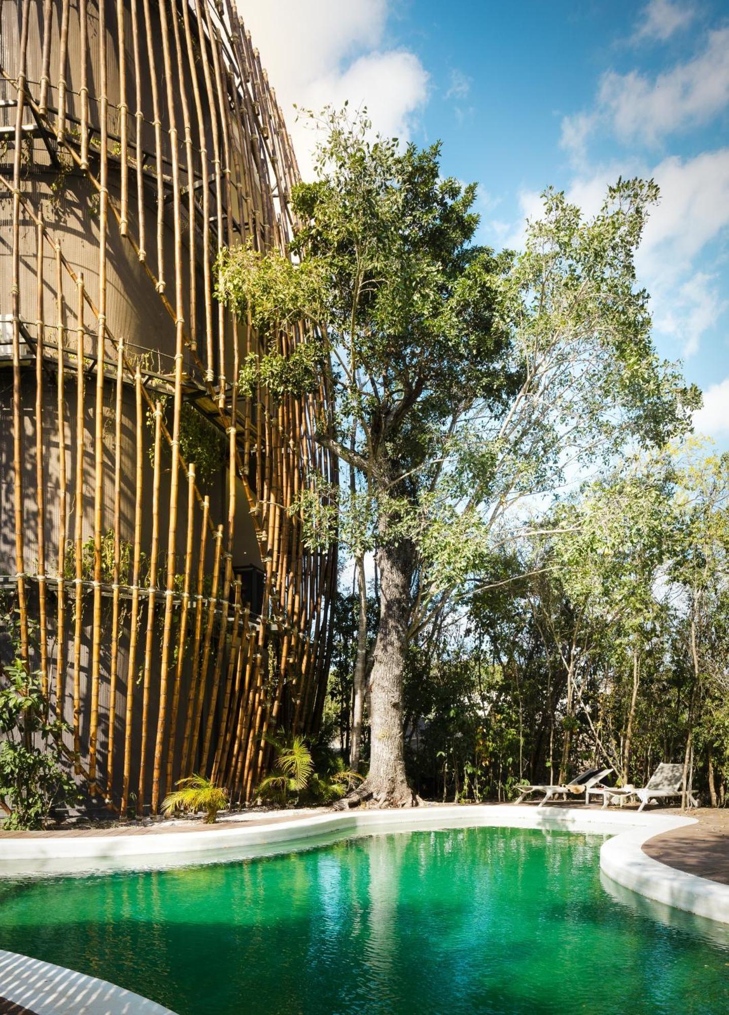 Living The Noom Cancún