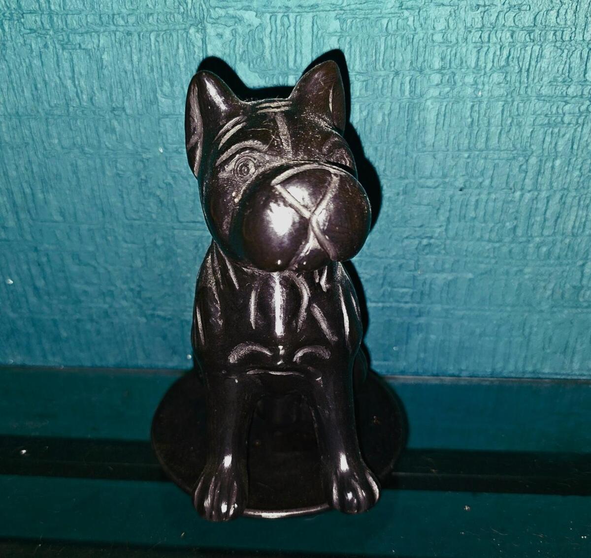 El Rincon Pet Friendly Cancún