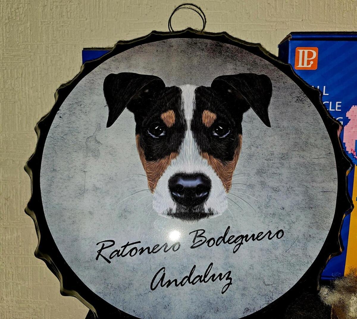 El Rincon Pet Friendly Cancún