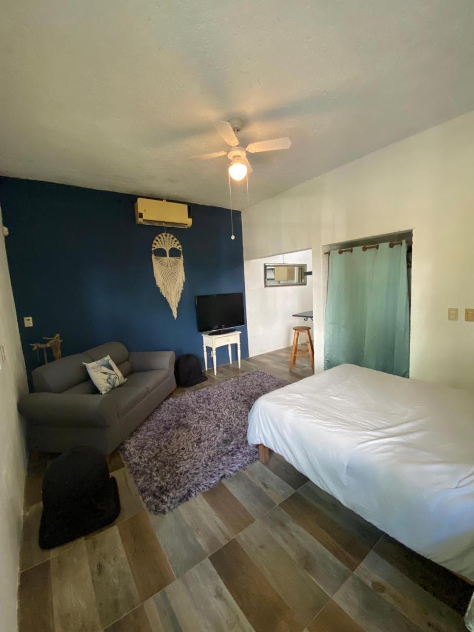 Casa Borush By Ecoplaneta Guest house