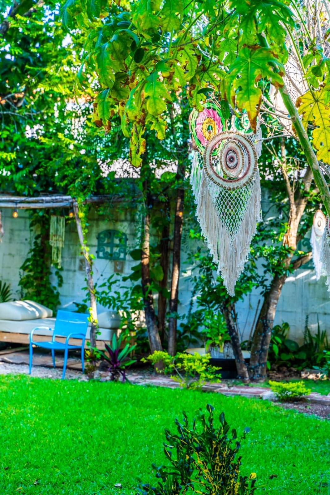 Guest house Casa Borush By Ecoplaneta *