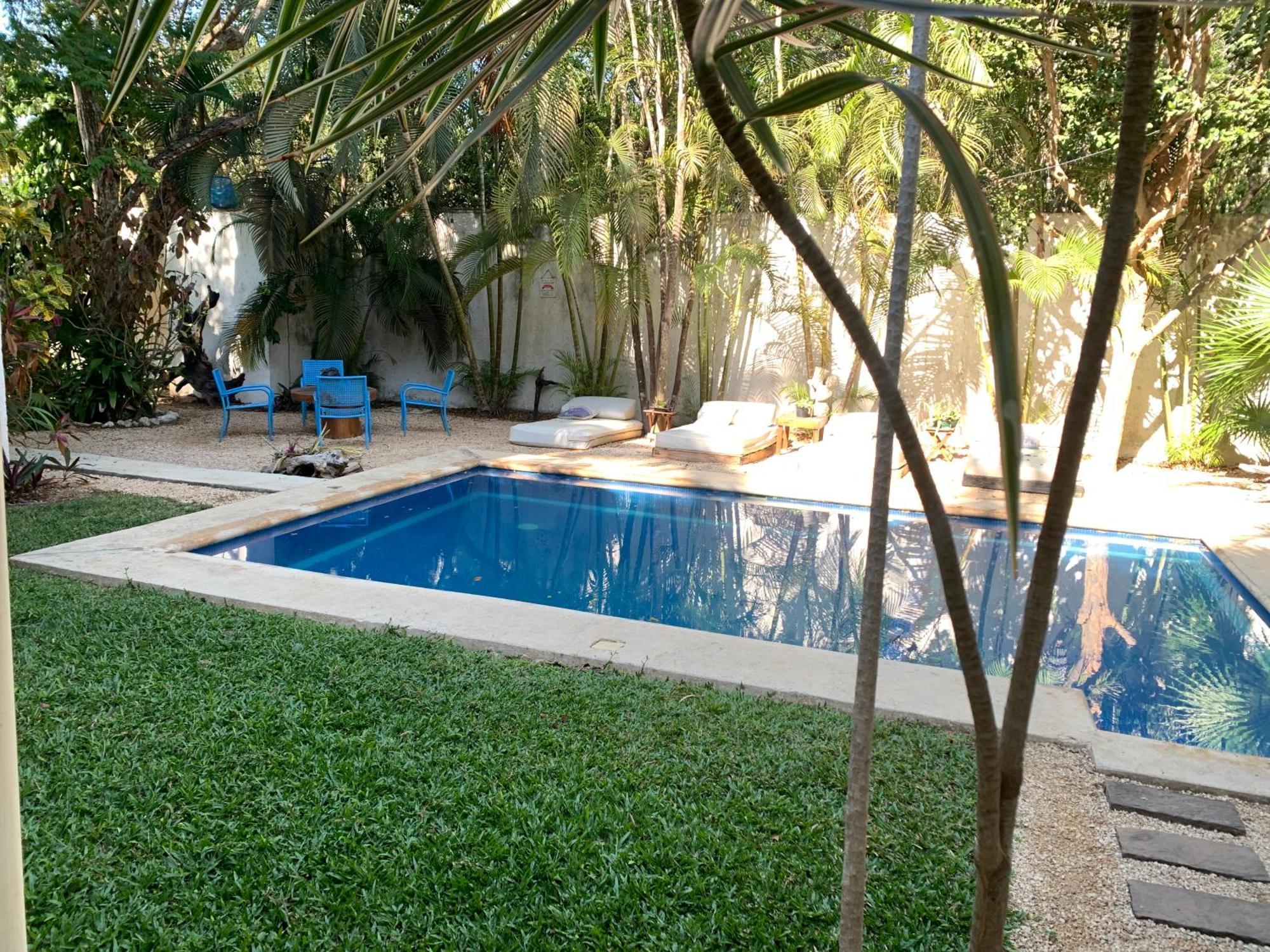 Guest house Casa Borush By Ecoplaneta *
