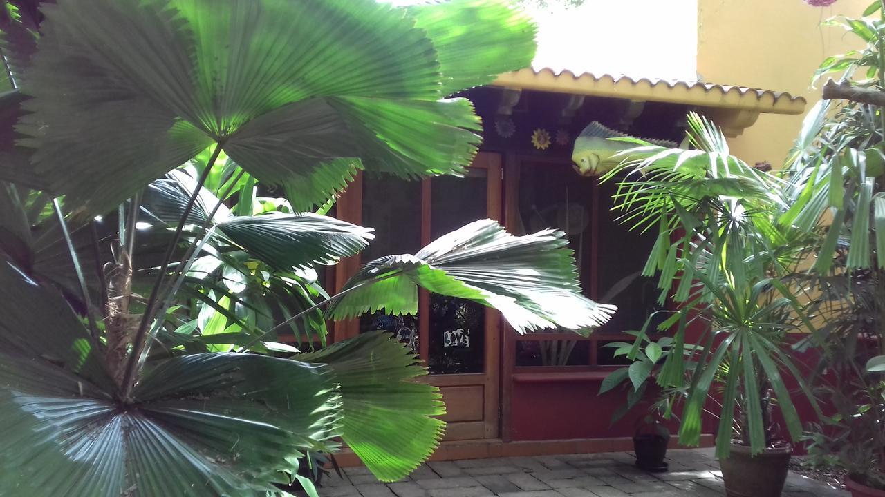 Casa Kin33 Bed and breakfast Cancún