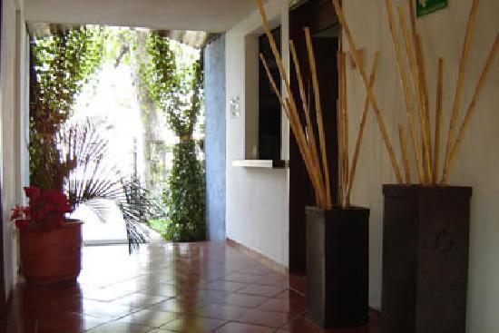 Hotel Girasoles Cancún