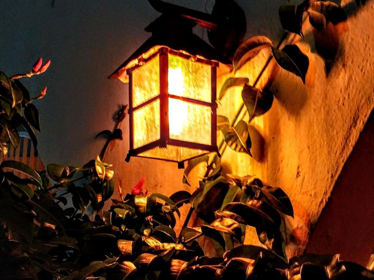 Casa Blanca Boutique & Organic Bed and breakfast Cancún