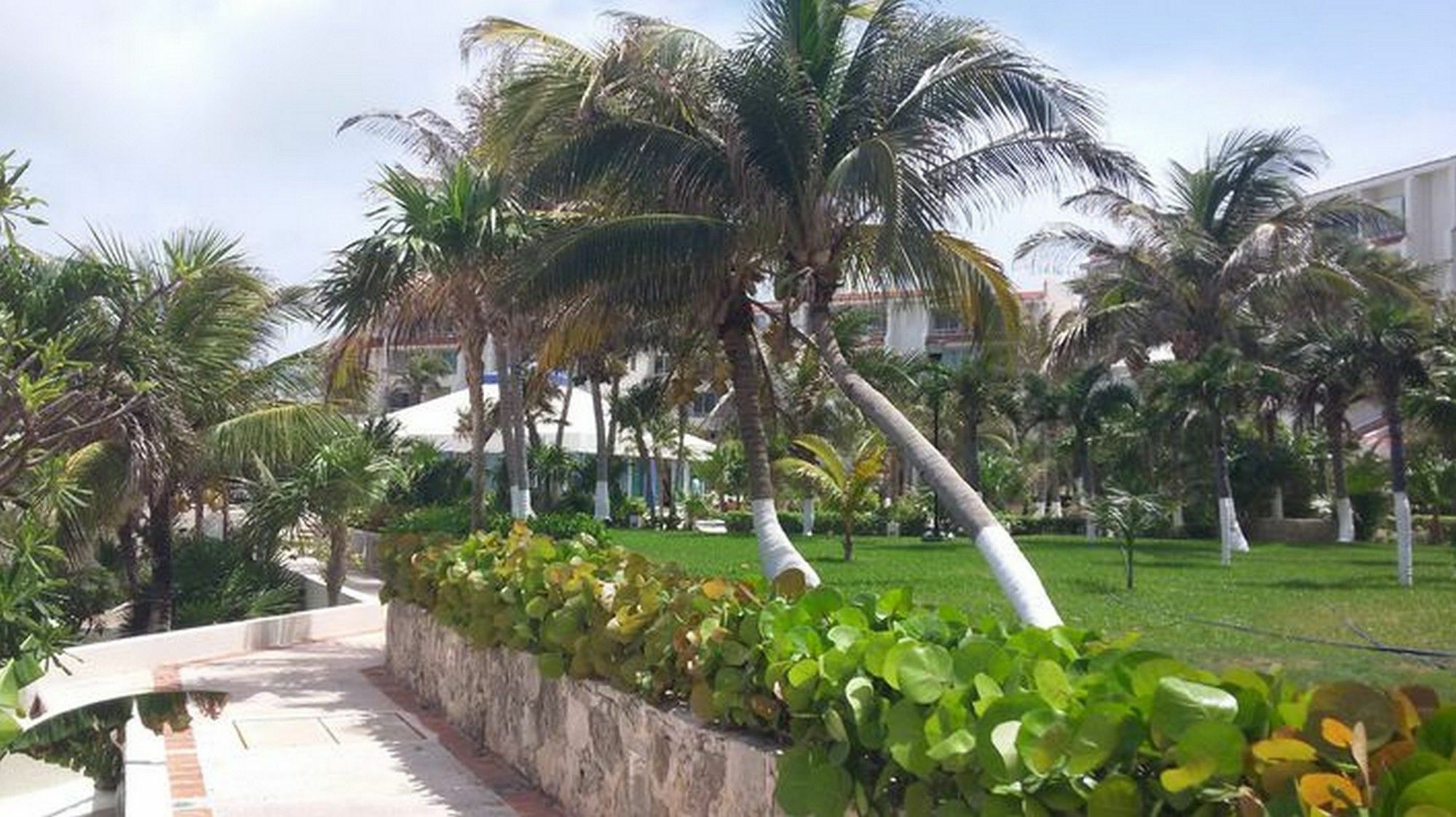 Apartment Solymar