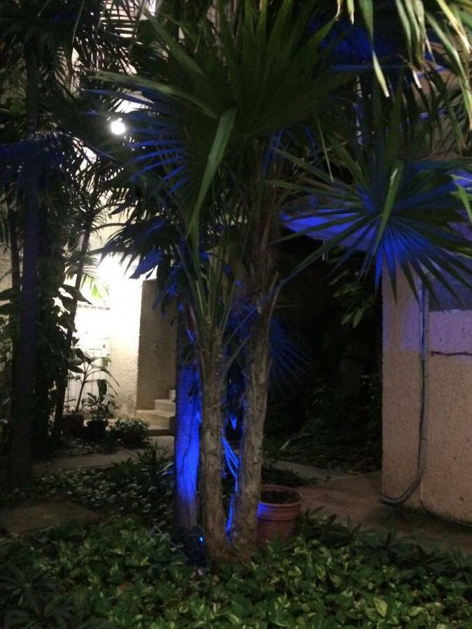 Departamento Caimito Apartamento *