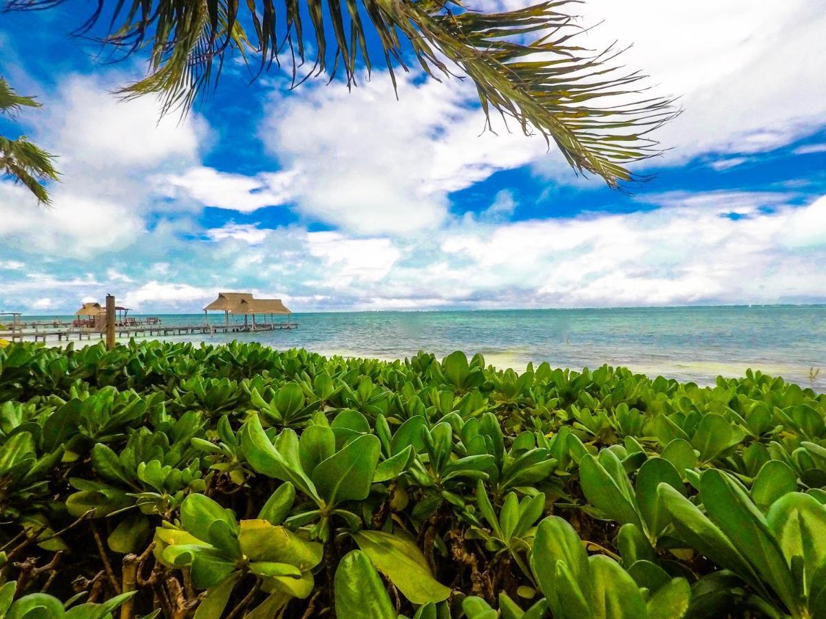 Punta Me Beach Suites Guest house Cancun