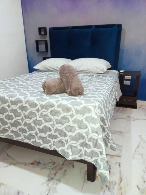 Loft Soliman - Netflix - Hbo - Near Market 28 - Downtown