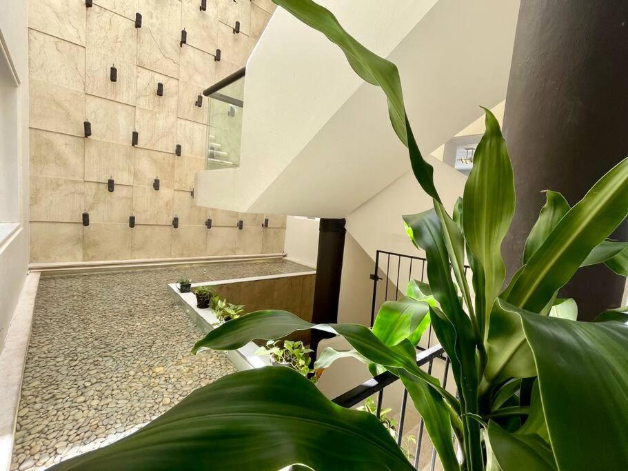 Flamingos Villa Cancún