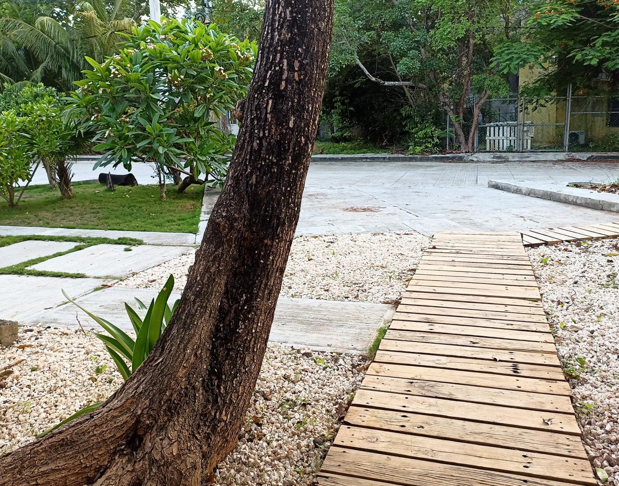 Cancunbnb Molas Apartamento *