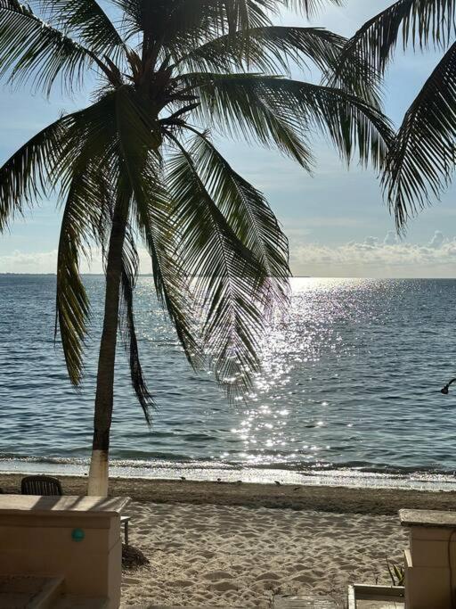 Ultimate Oceanview Penthouse Spectacular Sea Views Apartamento Cancún