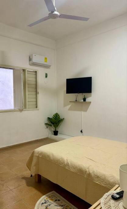 Centric 2bd In