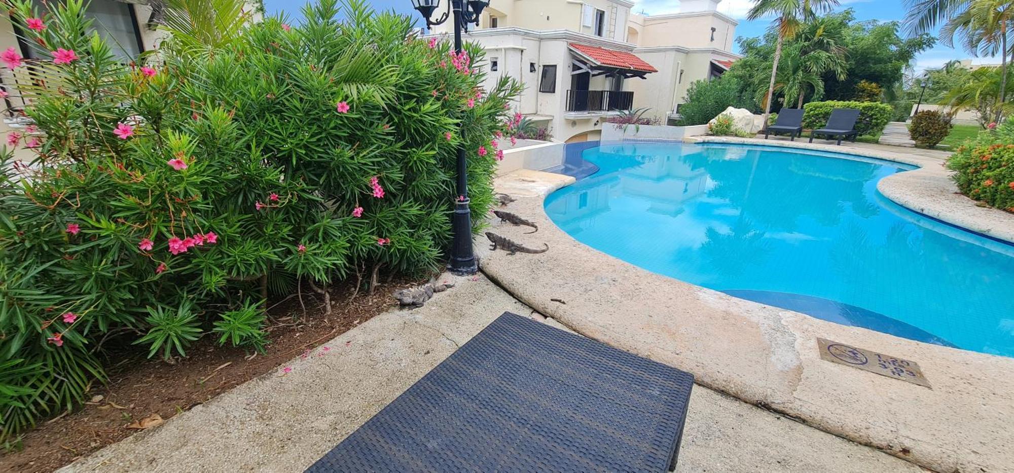 Cascadas, Charming Great Location With Pool & Garden * Cancún