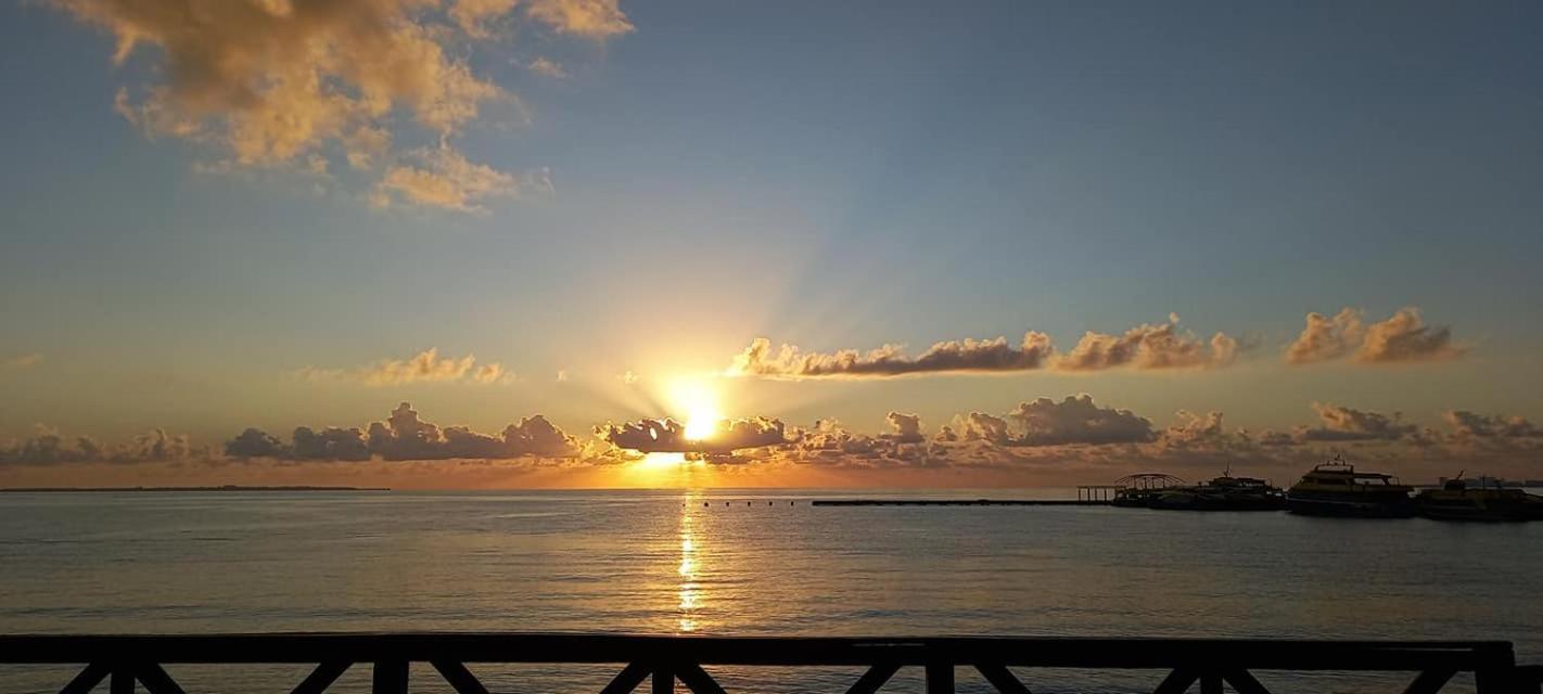 Apartamento La Casa Del Sol A Unos Pasos Del Mar *