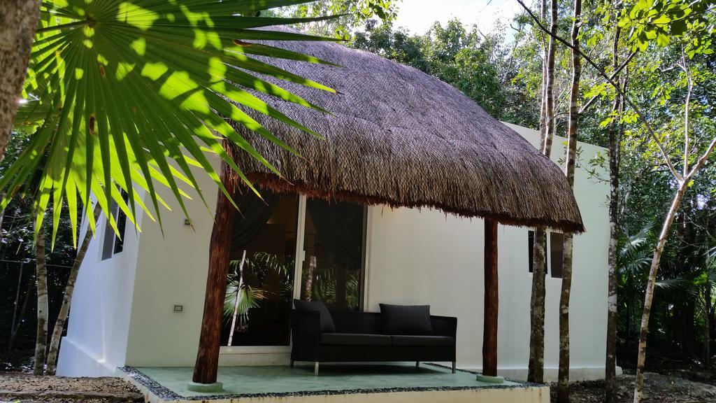 Guest house Jungle Dust