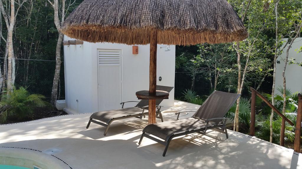 Guest house Jungle Dust