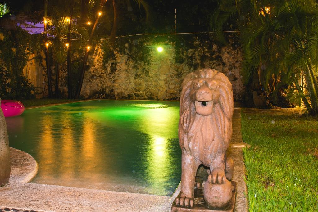 Pensión Purple Lion