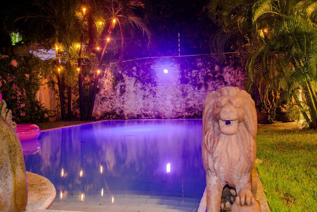 Purple Lion Pensión