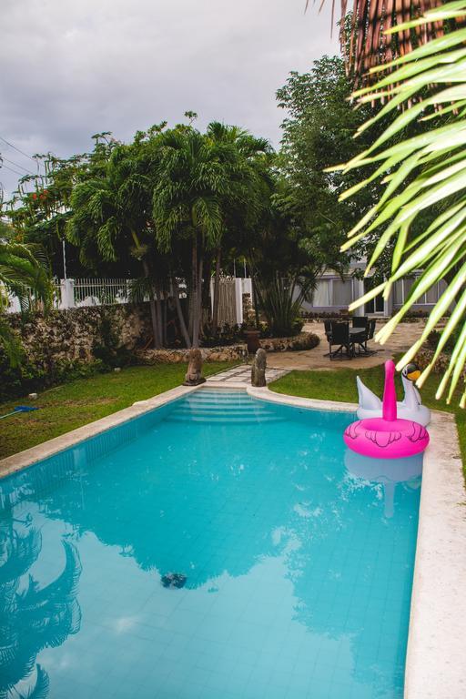 Pensión Purple Lion Cancún