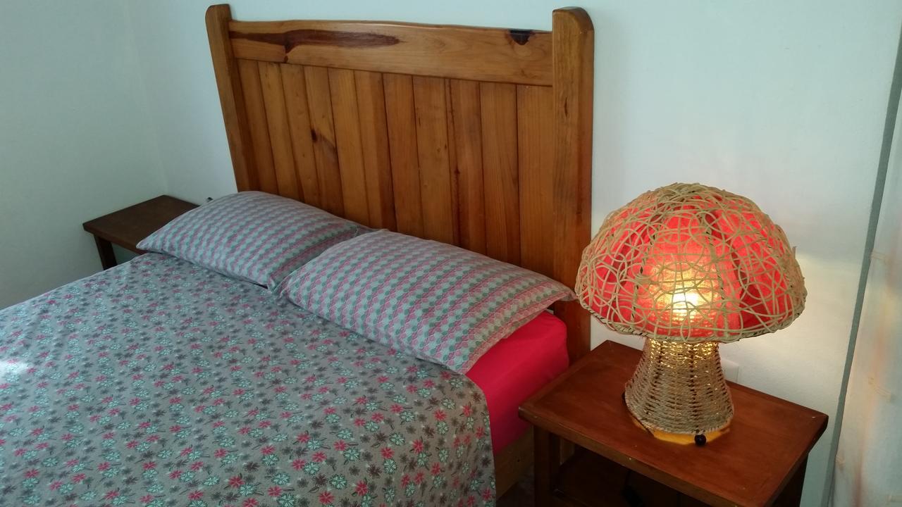 Jungle Dust Guest house