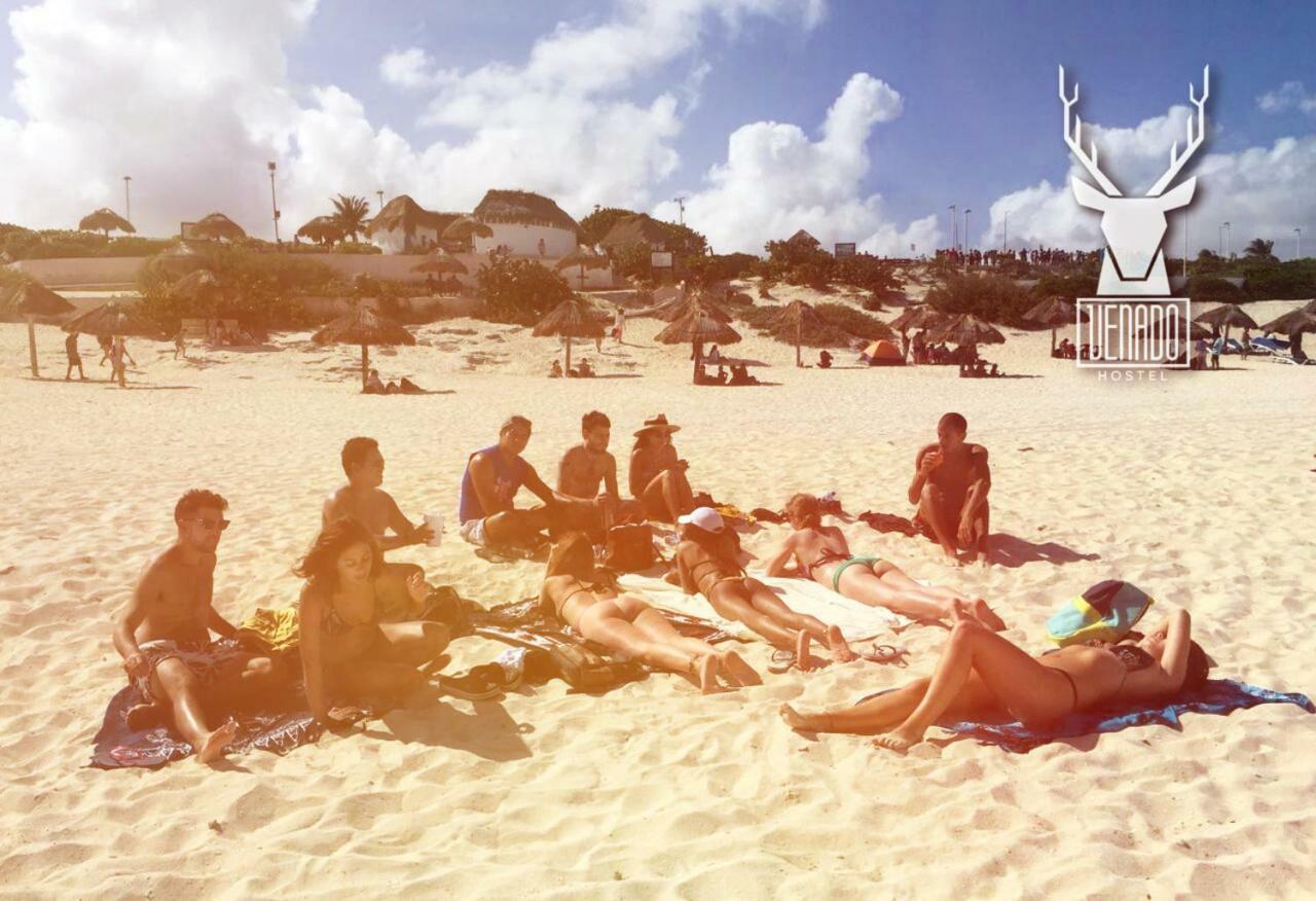 Venado Pensión Cancún